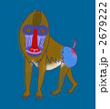 マンドリル 2679222