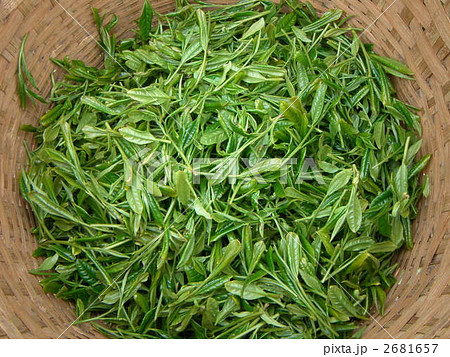 狭山茶 狭山茶 2681657