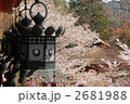 桜と神社 2681988