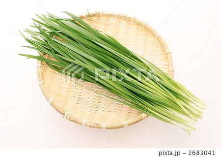 ニラ（1束） 2683041