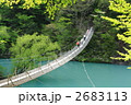 夢の吊橋～斜１ 2683113