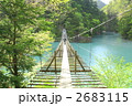 夢の吊橋～正面１ 2683115