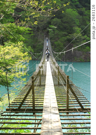 夢の吊橋～正面２ 2683116