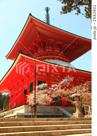 高野山　根本大塔 2683802