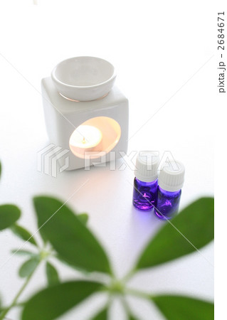 グリーンと香りの癒し グリーンと香りの癒し 2684671