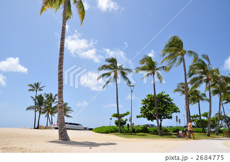 ハワイの休日 ハワイの休日 2684775