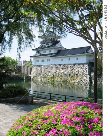 富山城の春 2684963