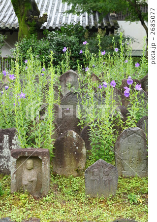元興寺の石仏とキキョウの花 2685077