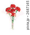 カーネーション 2687165