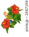 ハイビスカスとラブバード 2687169