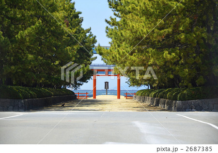 筥崎宮 お潮井浜の鳥居 筥崎宮 お潮井浜の鳥居 2687385
