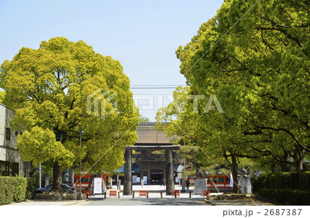 筥崎宮 筥崎宮 2687387