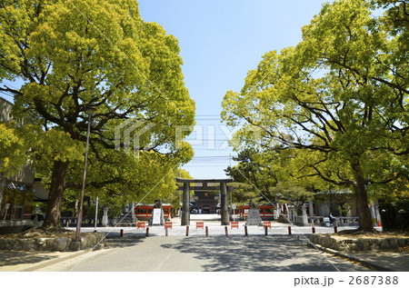 筥崎宮 筥崎宮 2687388