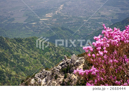 アカヤシオ咲く御在所岳中登山道からの絶景(立ち岩、遠くは菰野町) 2688444