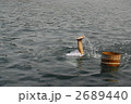 海女 2689440