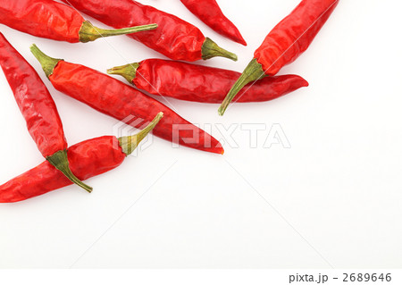 鷹の爪 鷹の爪 2689646