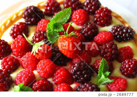 ベリーベリータルト 2689777