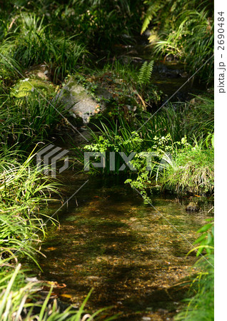 池山水源 2690484