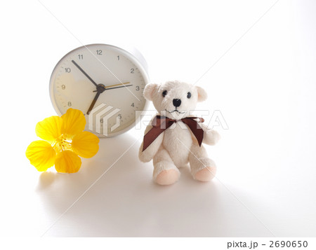 おはよう テディ おはよう テディ 2690650
