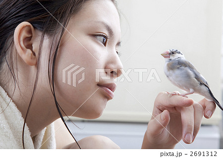 文鳥のヒナを手に乗せる女性の写真素材