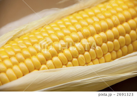粒ぞろいのとうもろこし 2691323