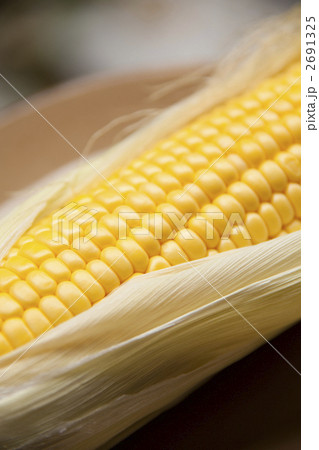 粒ぞろいのとうもろこし 粒ぞろいのとうもろこし 2691325