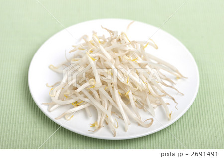 モヤシ 2691491