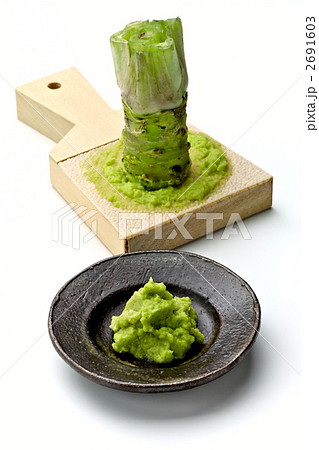 生わさび 生わさび 2691603