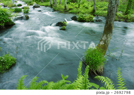 桧原川の渓流 桧原川の渓流 2692798