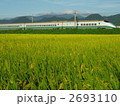 実りの季節の山形新幹線 2693110
