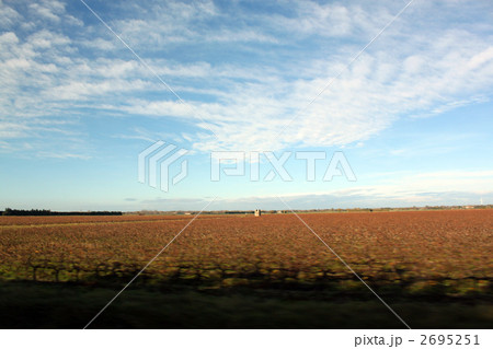 南仏秋のブドウ畑 南仏秋のブドウ畑 2695251