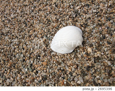 砂の上の貝殻 2695396