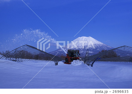 北海道にも張るが 北海道にも張るが 2696635