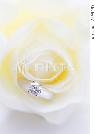 バラとエンゲージリング バラとエンゲージリング 2699495