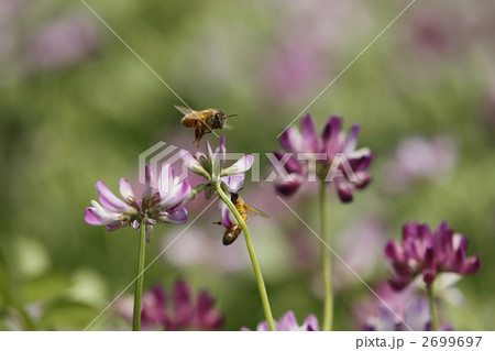 人気スポット☆ 2699697