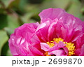 2699870