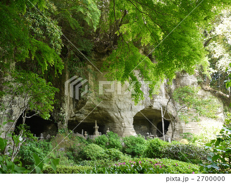 神奈川 鎌倉 報国寺 やぐら 神奈川 鎌倉 報国寺 やぐら 2700000