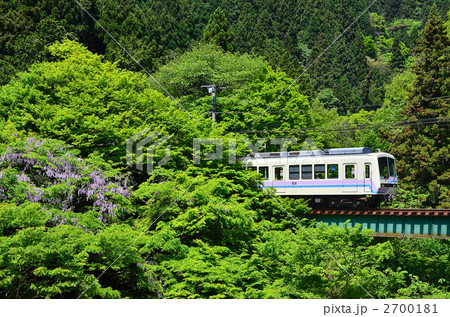 京都　叡山電鉄　800系　新緑　 2700181