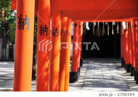 奉納鳥居 2700564