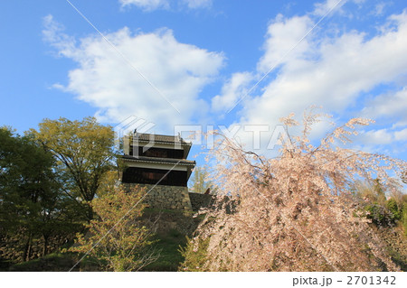 上田城（西櫓）と桜 2701342