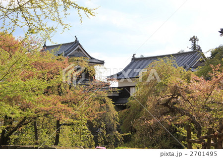 新緑の上田城 新緑の上田城 2701495