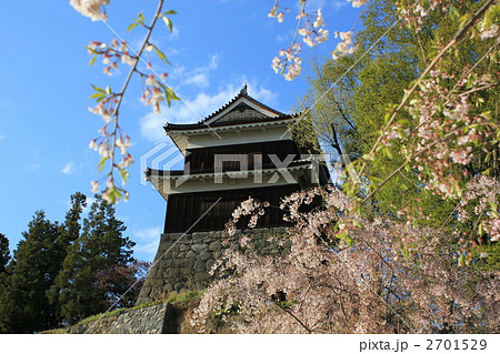 上田城（南櫓）と桜 2701529