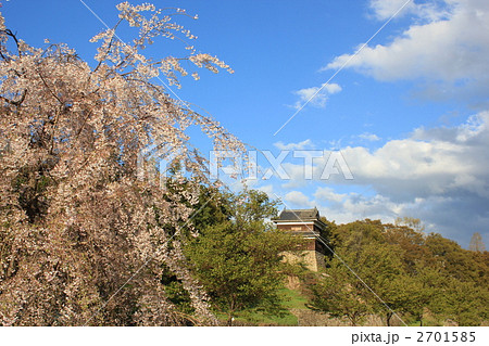 上田城（南櫓）と桜 2701585