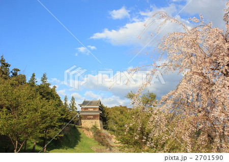 上田城(南櫓)と桜 上田城(南櫓)と桜 2701590