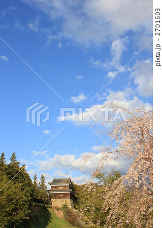 上田城（南櫓）と桜 2701603