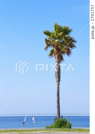 サザンビーチ 2701757