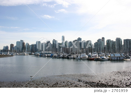 コールハーバー 2701959