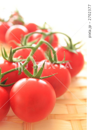 房採りトマト 2702377