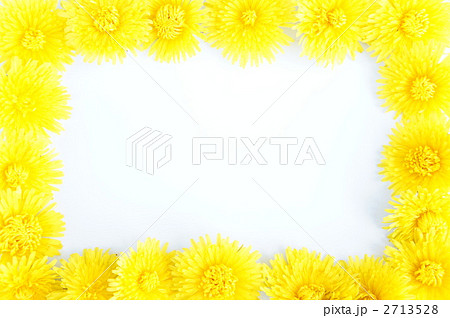 タンポポのフレーム 2713528