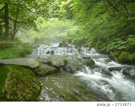 軽井沢 湯川渓流の写真素材